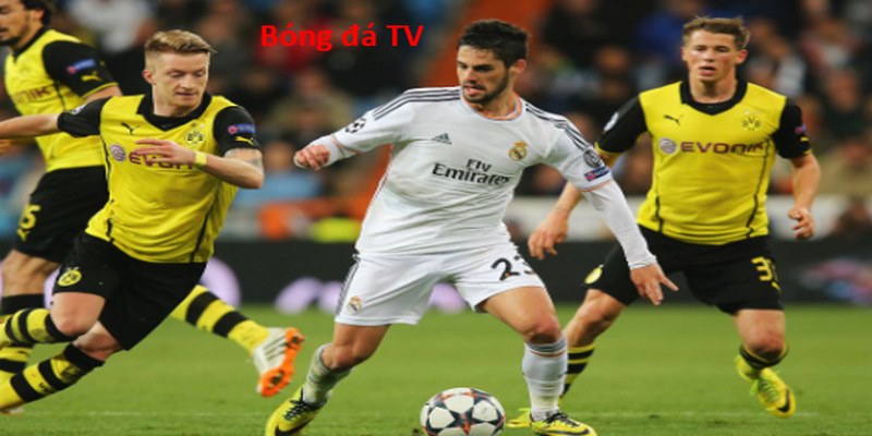 Borussia Dortmund vs Real Madrid đều đang đạt trạng thái tốt nhấtBorussia Dortmund vs Real Madrid đều đang đạt trạng thái tốt nhất